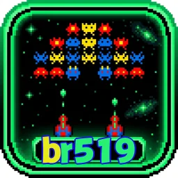 br519